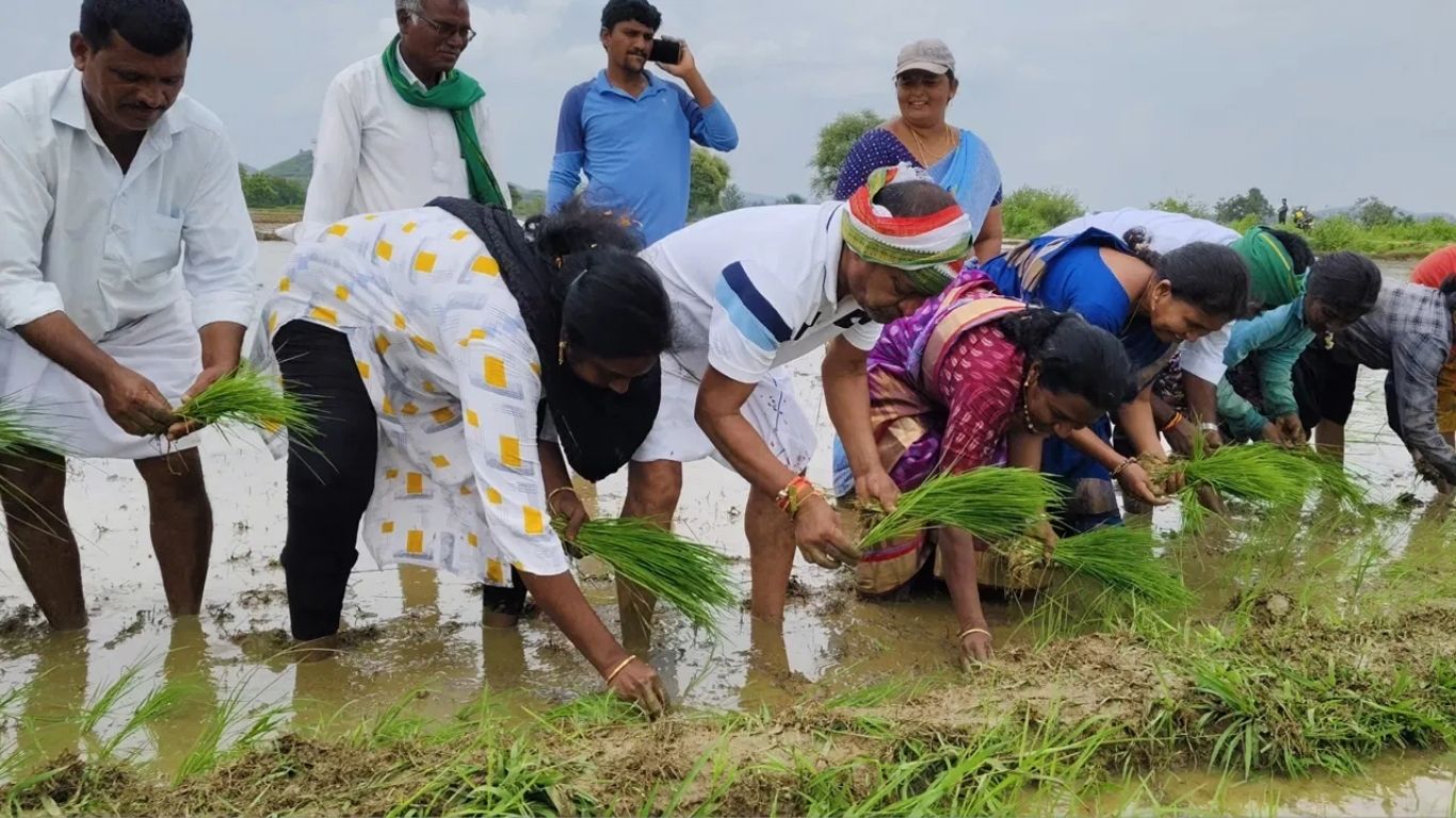 Telangana: పొలాల్లో ఎమ్మెల్యే.. రైతులతో కలిసి నాటు వేసిన కోరం కనకయ్య!